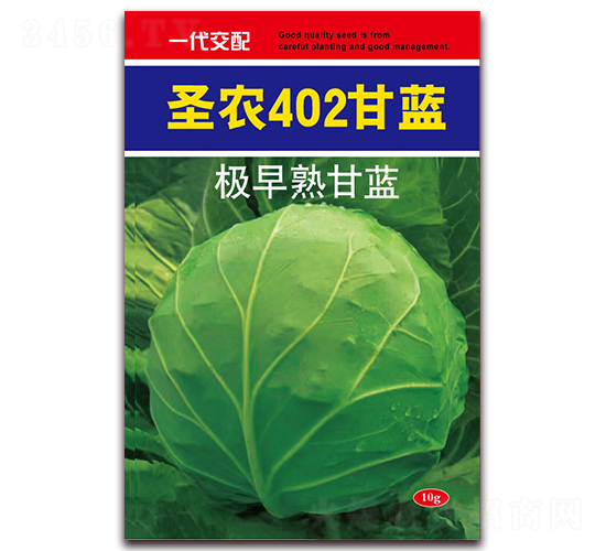ʥũ402����-��������-ʥũ�߿�