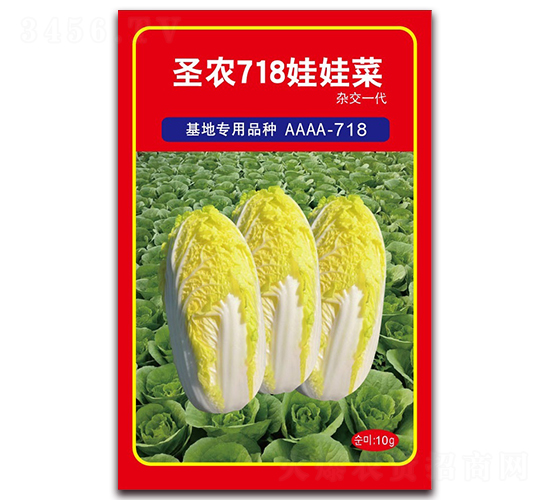 ʥũ718���޲�-���޲�����-ʥũ�߿�
