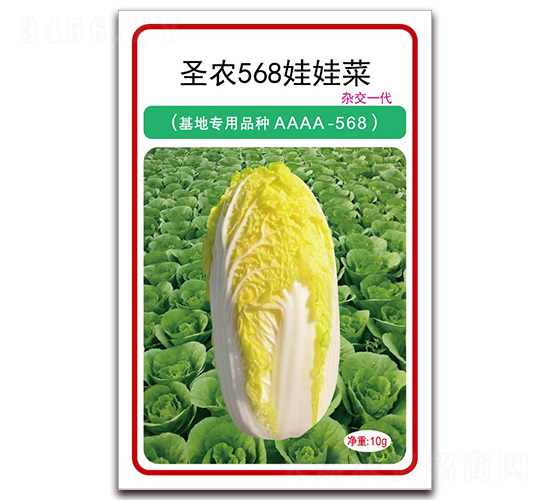 ʥũ568���޲�-���޲�����-ʥũ�߿�