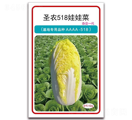 ʥũ518���޲�-���޲�����-ʥũ�߿�