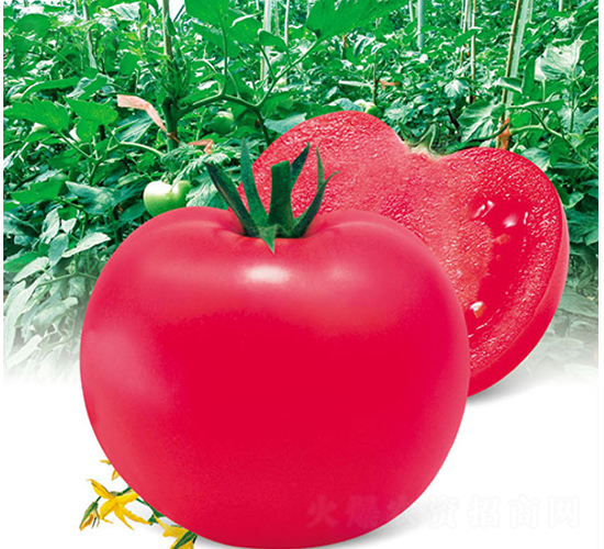 �л��۹�-��������-������ҵ