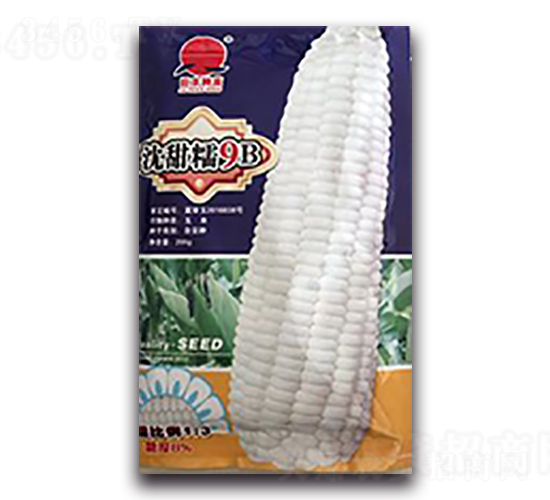 ����Ŵ9B-Ŵ��������-��������
