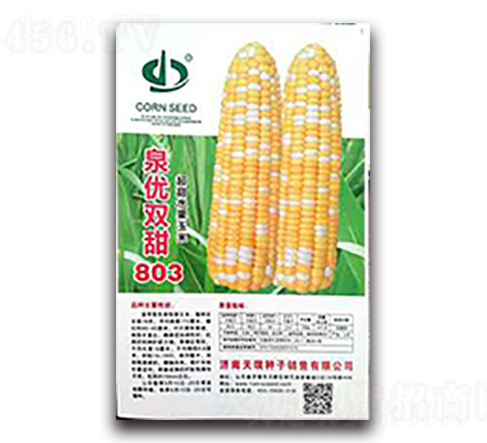Ȫ��˫��803-Ŵ��������-��������