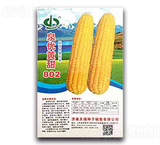 Ȫ�Ż���802-Ŵ��������-��������