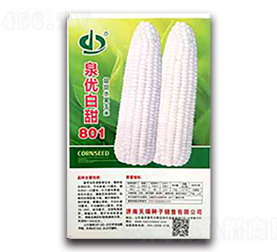 Ȫ�Ű���801-Ŵ��������-��������