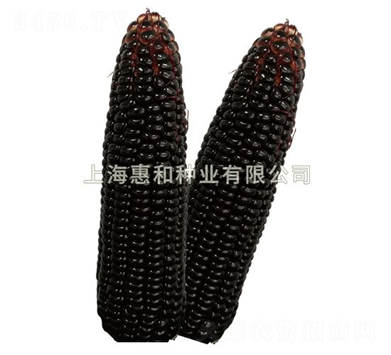 ������-��������-�ݺ���ҵ