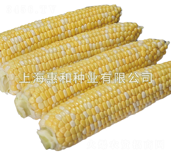 ˫ɫ֮��-��������-�ݺ���ҵ