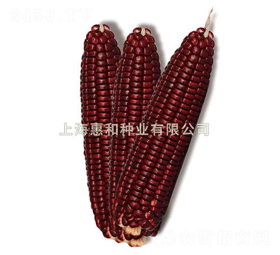 ����Ŵ1��-Ŵ��������-�ݺ���ҵ