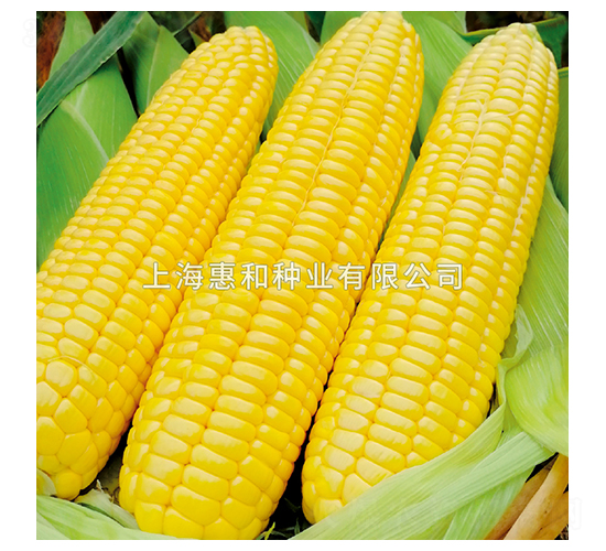 �������-��������-�ݺ���ҵ