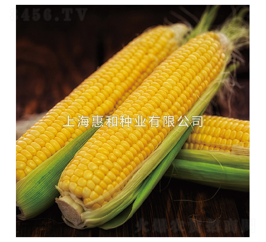 ��������-��������-�ݺ���ҵ