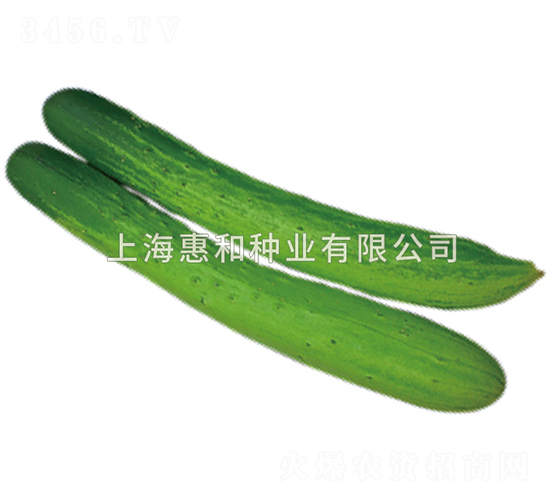 �ڳɰ��-�ƹ�����-�ݺ���ҵ