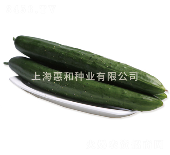 �������-�ƹ�����-�ݺ���ҵ