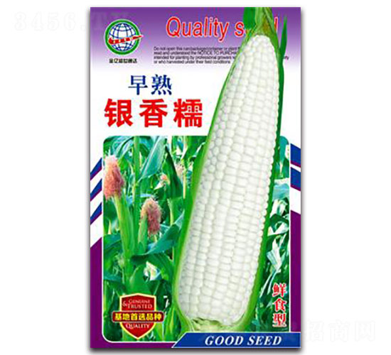 ��������Ŵ-Ŵ��������-����