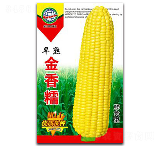 �������Ŵ-Ŵ��������-����