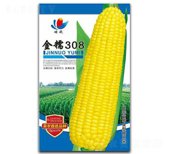 ��Ŵ308-Ŵ��������-����