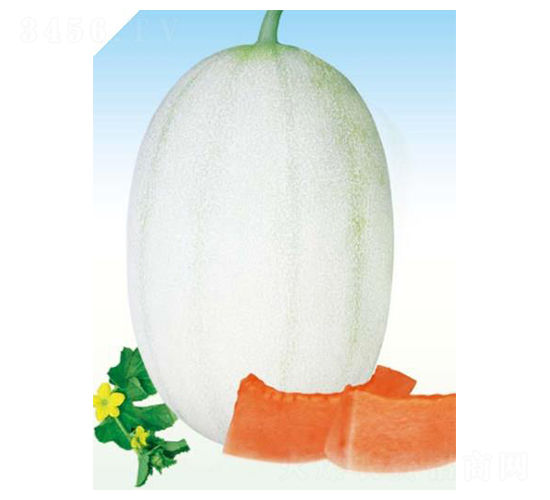 ��ɫ����-�������-����ũҵ