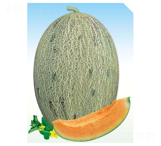 ��ʫͼ-�������-����ũҵ