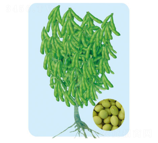 �Ʒ�һ��-ë������-�����ҵ
