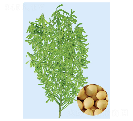 �ɶ�32-������-�����ҵ