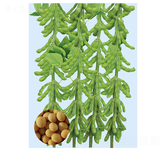 �ں�45-������-�����ҵ