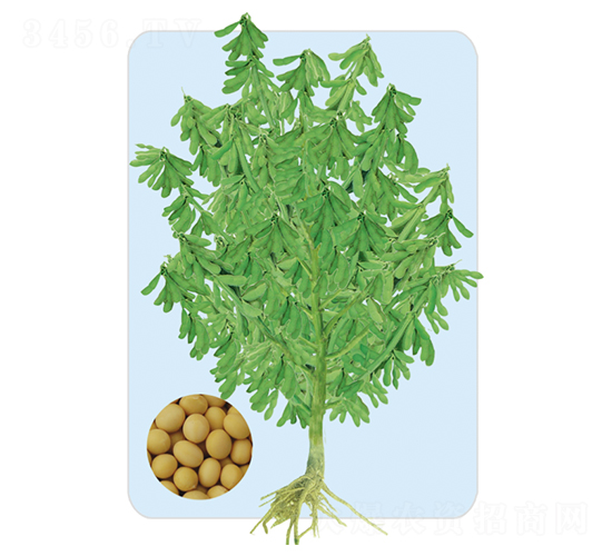 �ɶ�34-������-�����ҵ
