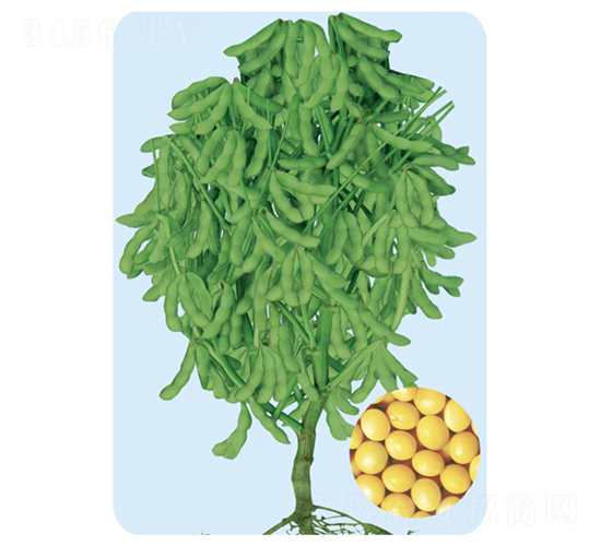 �ɶ�39-������-�����ҵ