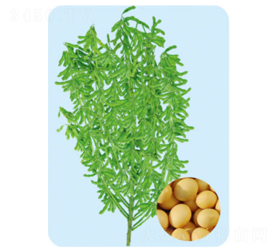 �ɶ�68-������-�����ҵ