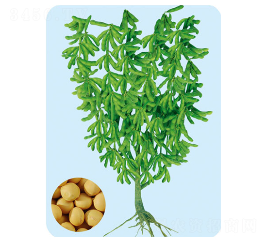 �ɶ�22-������-�����ҵ