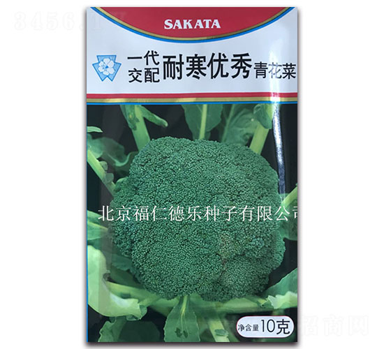 10g�ͺ�����-����������-���ʵ���