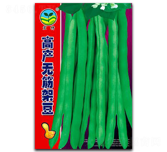 �߲��޽�ܶ�-�ܶ�����-����