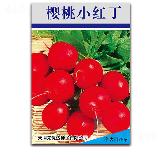 ӣ��С�춡-��������-���Ŵ�