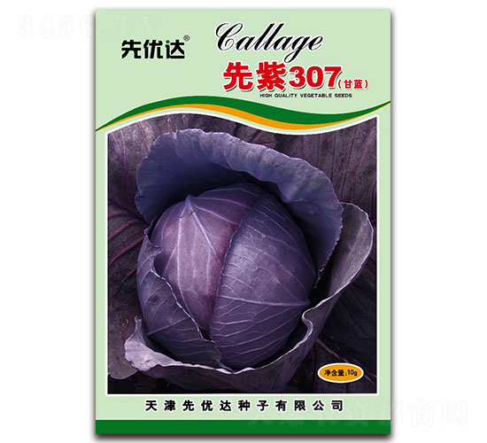 ����307-��������-���Ŵ�