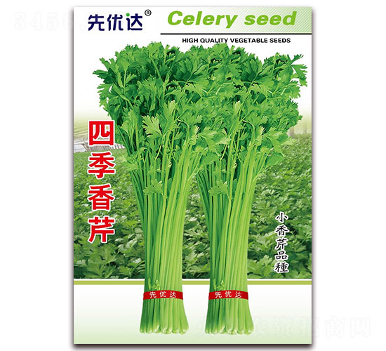 �ļ�����-�۲�����-���Ŵ�