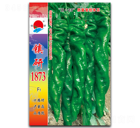 ����1873-��˿������-������ҵ