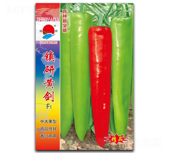 ���лƽ�-�⽷����-������ҵ