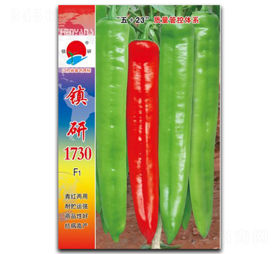 ����1730-�⽷����-������ҵ
