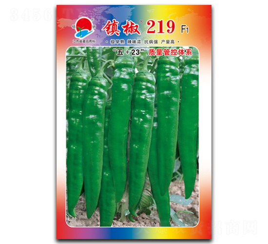 ��219-�⽷����-������ҵ