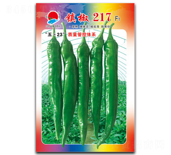 ��217-�⽷����-������ҵ