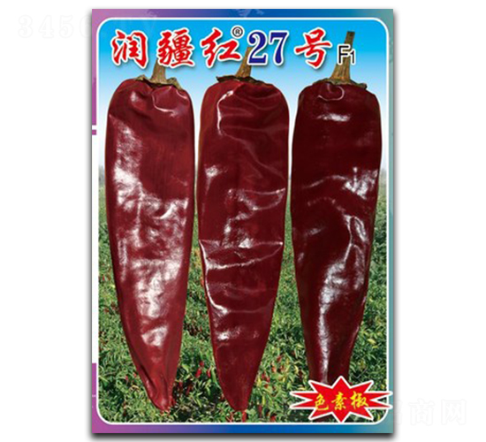 �󽮺�27��-��������-������ҵ
