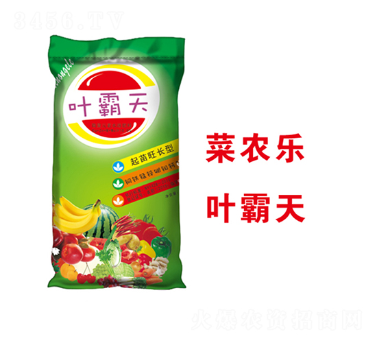 Ҷ����Ҷ���-�����