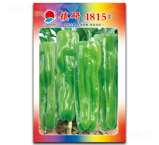 ����1815-�ݽ�����-������ҵ