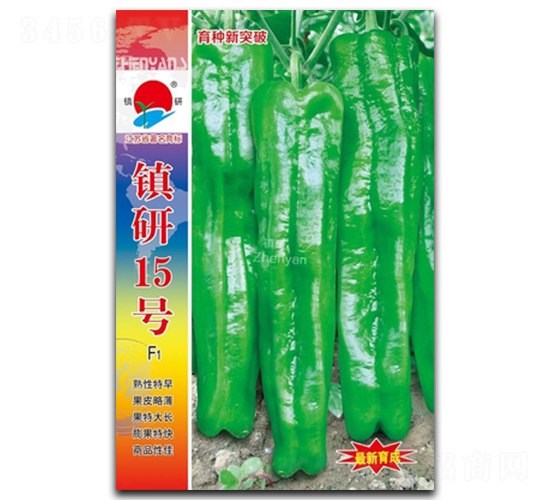 ����15��-�ݽ�����-������ҵ