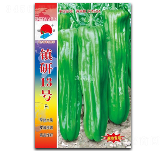 ����13��-�ݽ�����-������ҵ