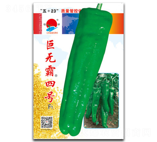 ���ް��ĺ�-�ݽ�����-������ҵ