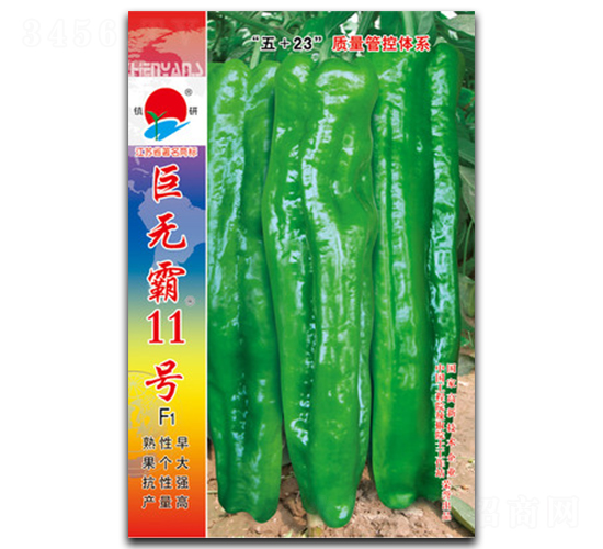 ���ް�11��-�ݽ�����-������ҵ