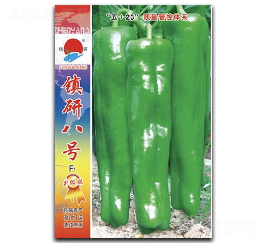 ���а˺�-�ݽ�����-������ҵ