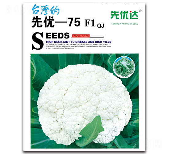 ����75-F1-��Ҭ������-���Ŵ�