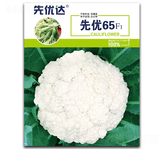����65F1-��Ҭ������-���Ŵ�