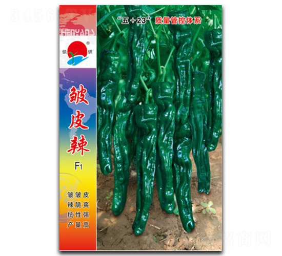 ������Ƥ��-�ݽ�����-������ҵ