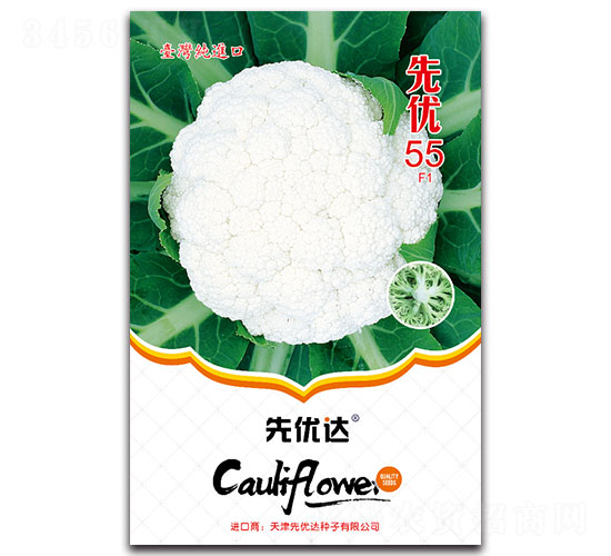 ����55F1-��Ҭ������-���Ŵ�